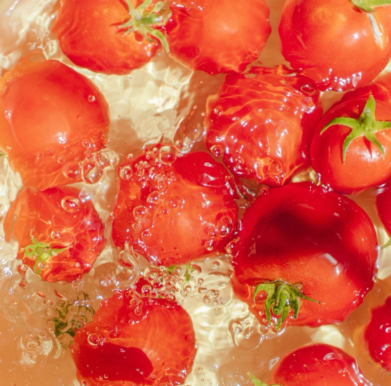 Fresh Tomatoes